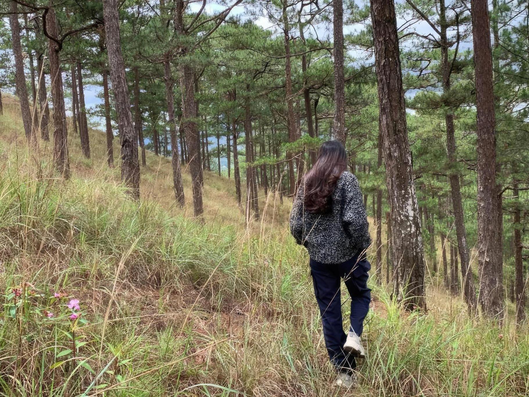 Romantic House On A Pine Hill Dalat Экстерьер фото