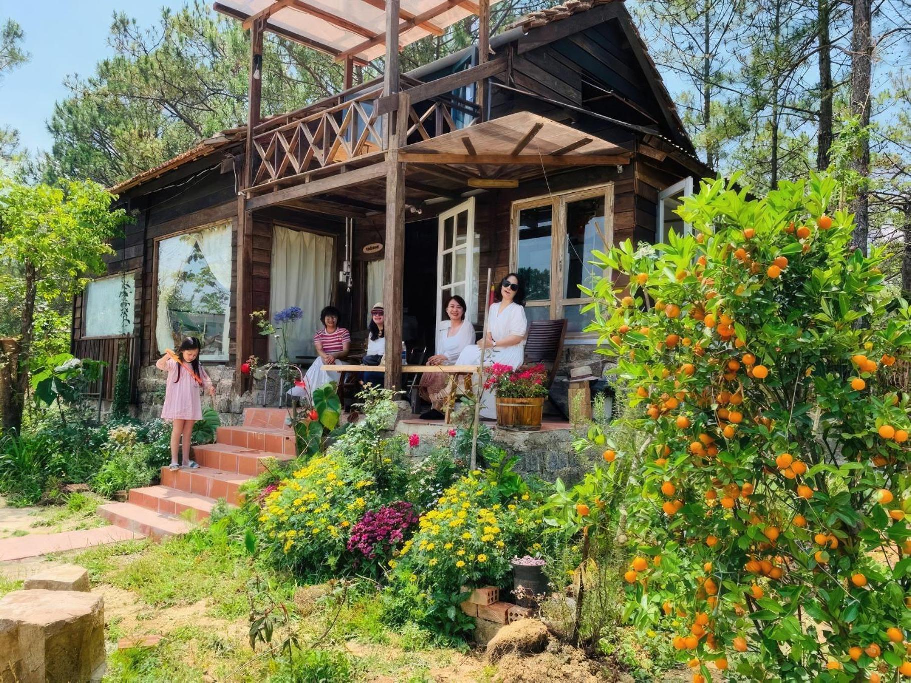 Romantic House On A Pine Hill Dalat Экстерьер фото