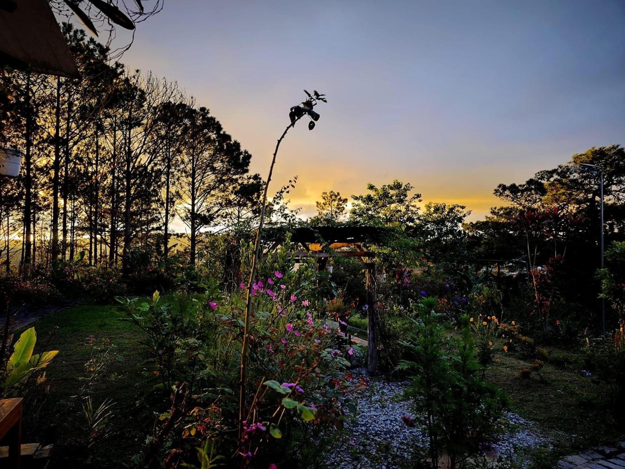 Romantic House On A Pine Hill Dalat Экстерьер фото